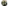 Sycotex