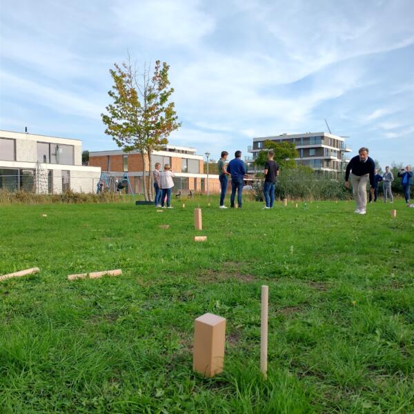 BMSvision colleagues play game of Kubb